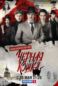 Чёрная кошка сериал 2016