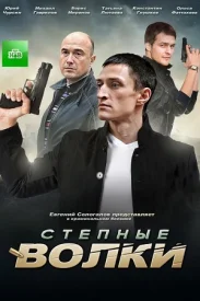 Степные волки сериал 2016